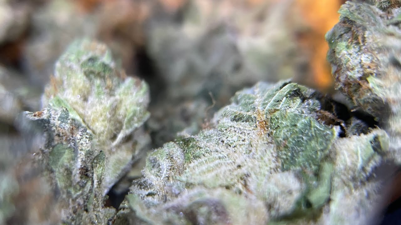 26% THC CRESCO MINT FACEOFF fire
