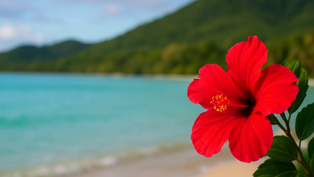 [NEW] Pese 83: Vivi'i atu ia i lo tatou Ali'i
