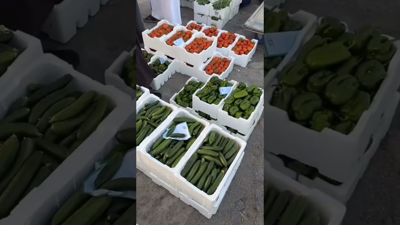 أرخص خضار في رمضان؟ تجربة الشراء من حراج عنيزة