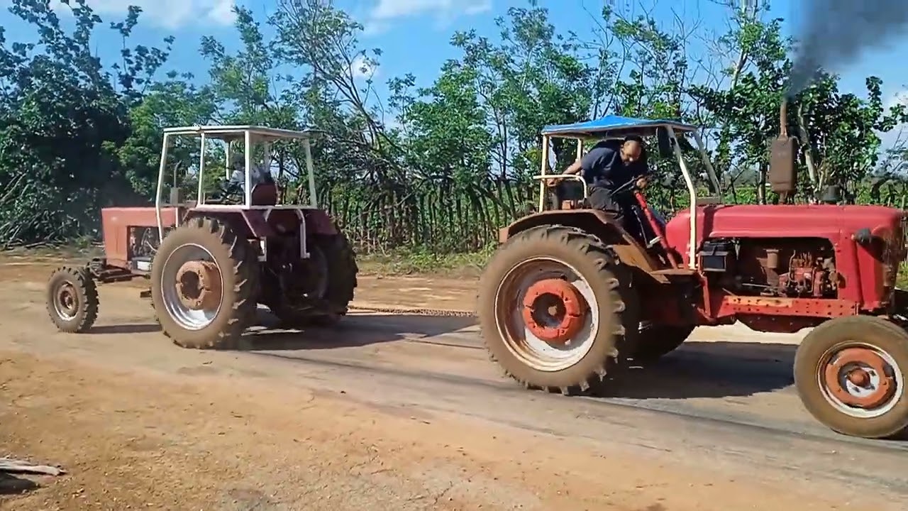 Belarus 800 vs umz 6
