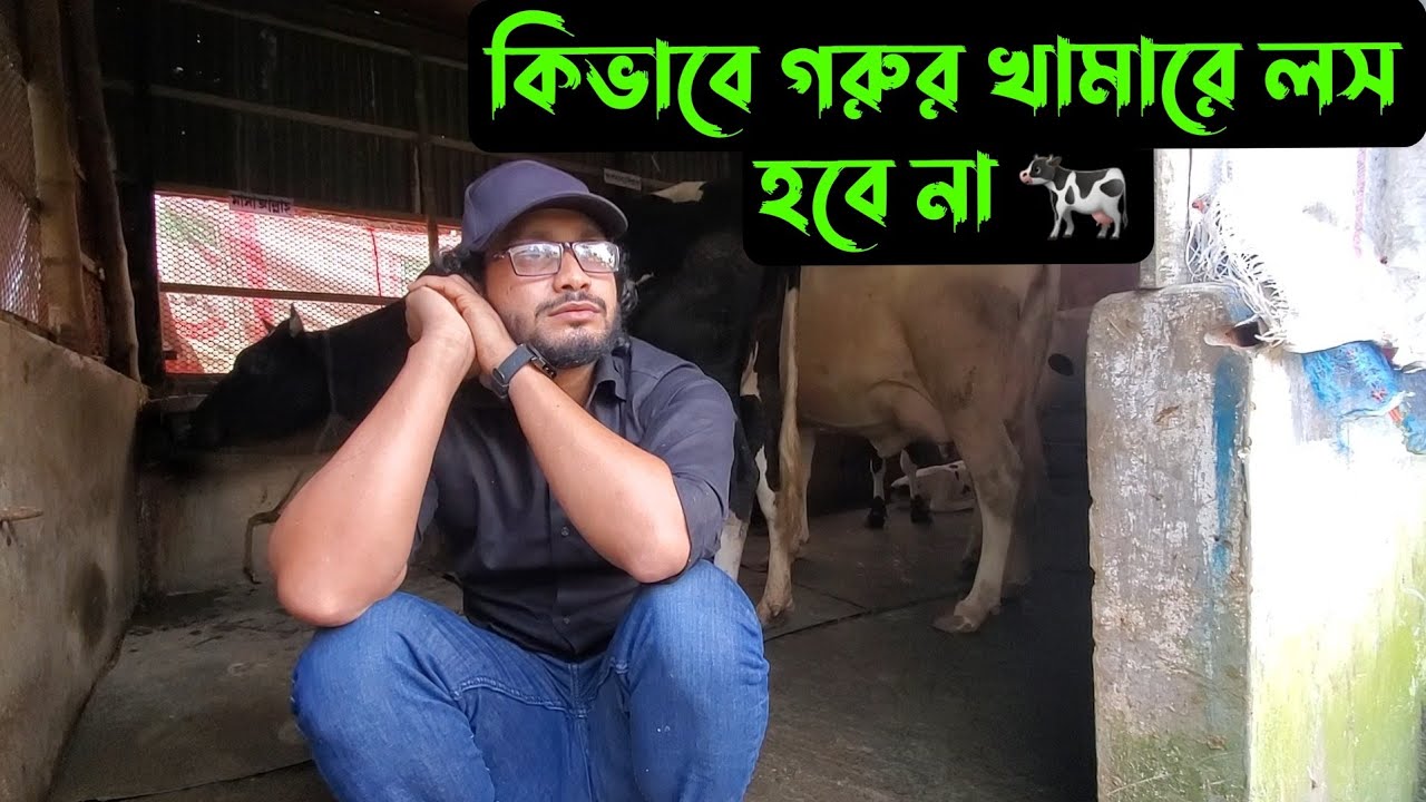 গরুর খামারে লস হবেনা,,এভাবে খামার করলে 🐄
