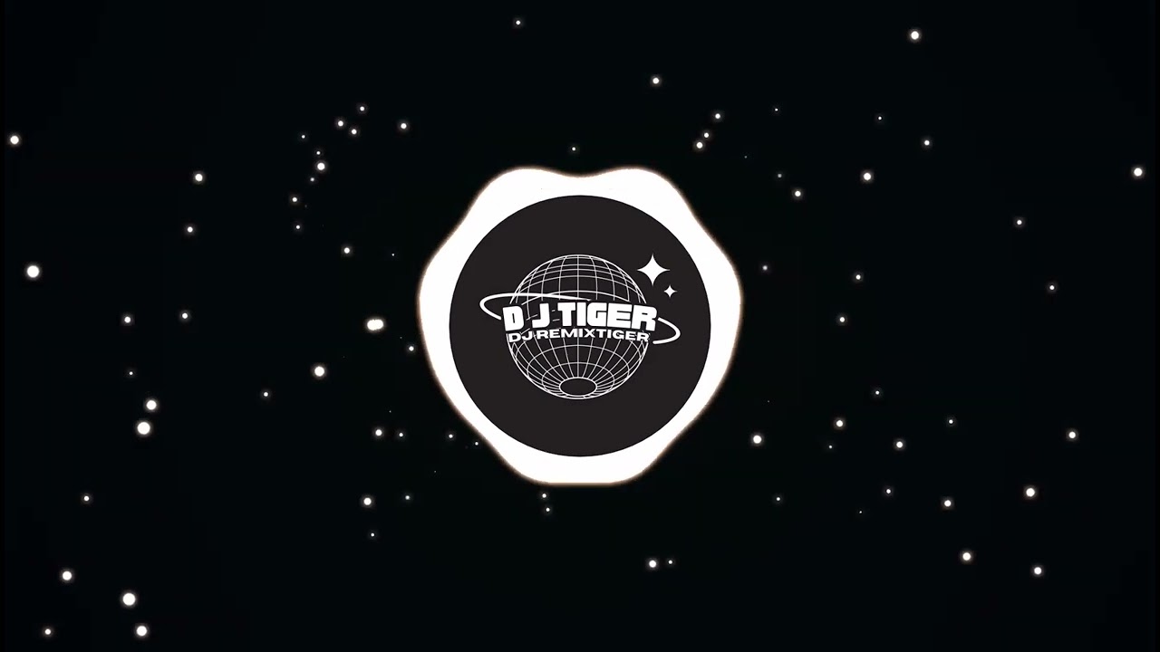 ريمكس - اذا تحبني صدك جاوب عليه - بدون جنقل | DJ TIGER