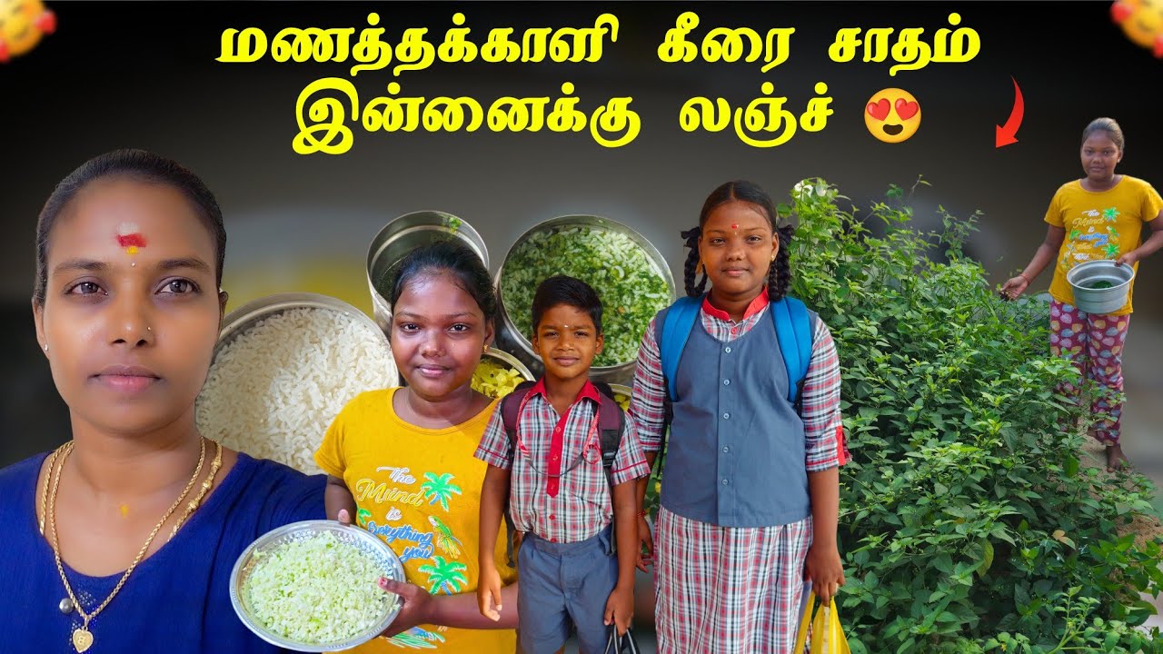 மணத்தக்காளி கீரை சாதம் 😍 // Morning ROUTINE // Sri Cyber Tamizhachi 