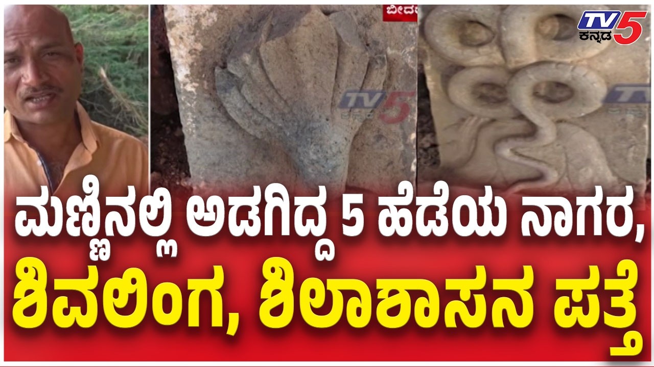 Shivalinga, Naga Sarpa And Inscription Discovered In Bidar Bhavani Temple ಬೀದರ್‌ನಲ್ಲೂ ಶಿಲೆಗಳು ಪತ್ತೆ
