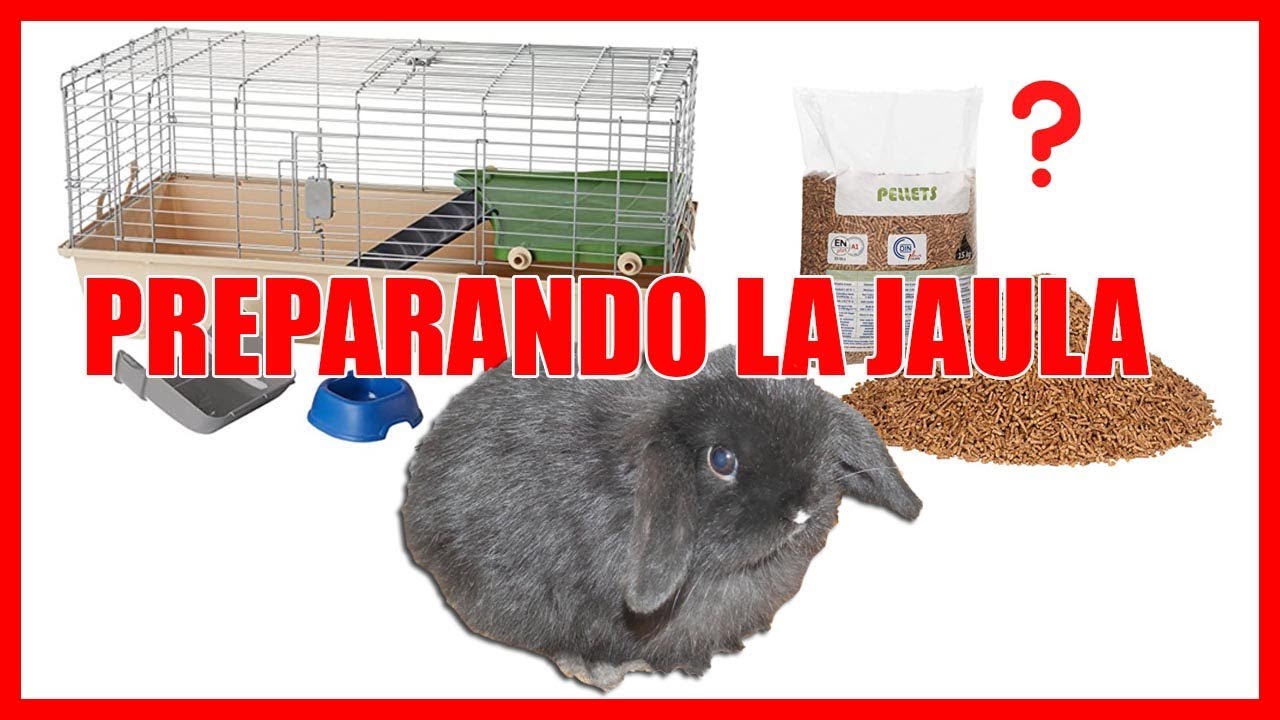 La JAULA del CONEJO todo lo necesario +Sustrato Económico ✅ -Tu conejo en casa #002