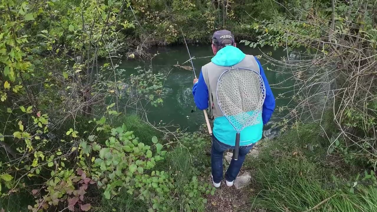 Toc à la nymphe par Laurent Jauffret - Grosse truite arc en ciel No kill d'entraigues sur la sorgue