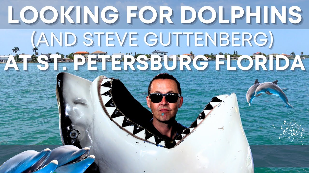 Can we find Dolphins in St Petersburg  ? | Florida | Walt Disney World Vlogs