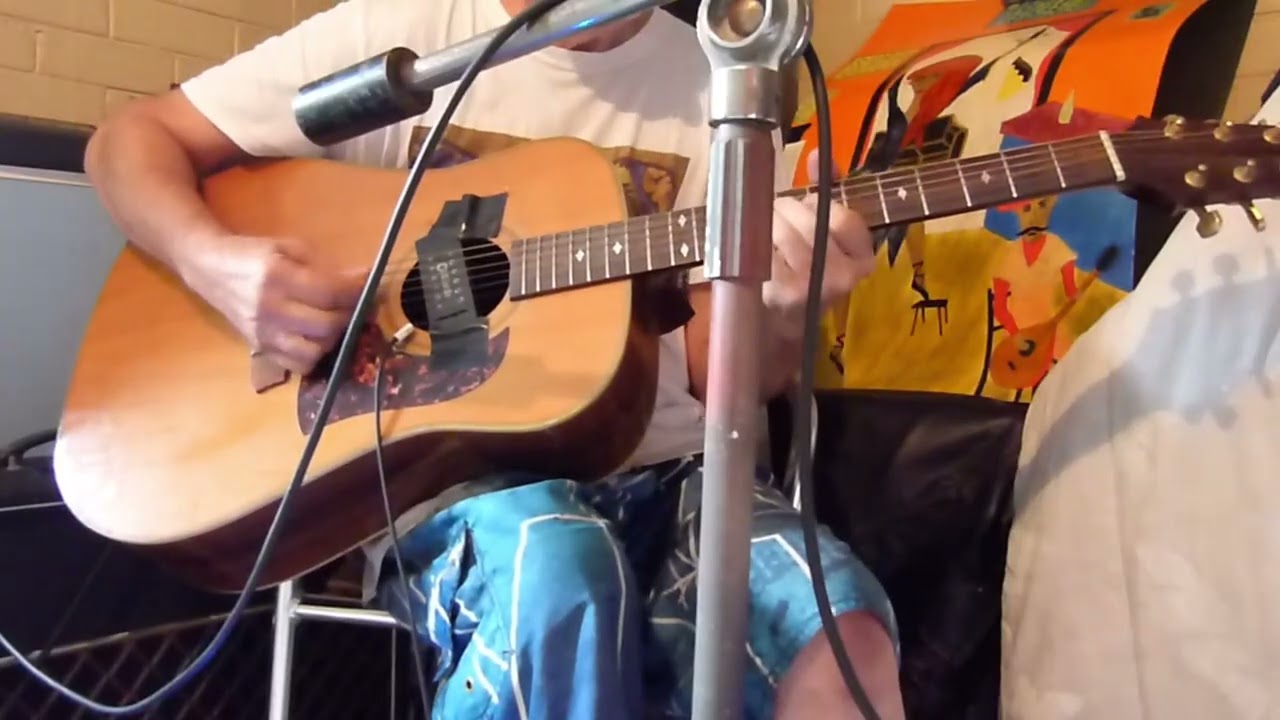 Vox AC30 Top Boost Heavenly Vibrato Effect