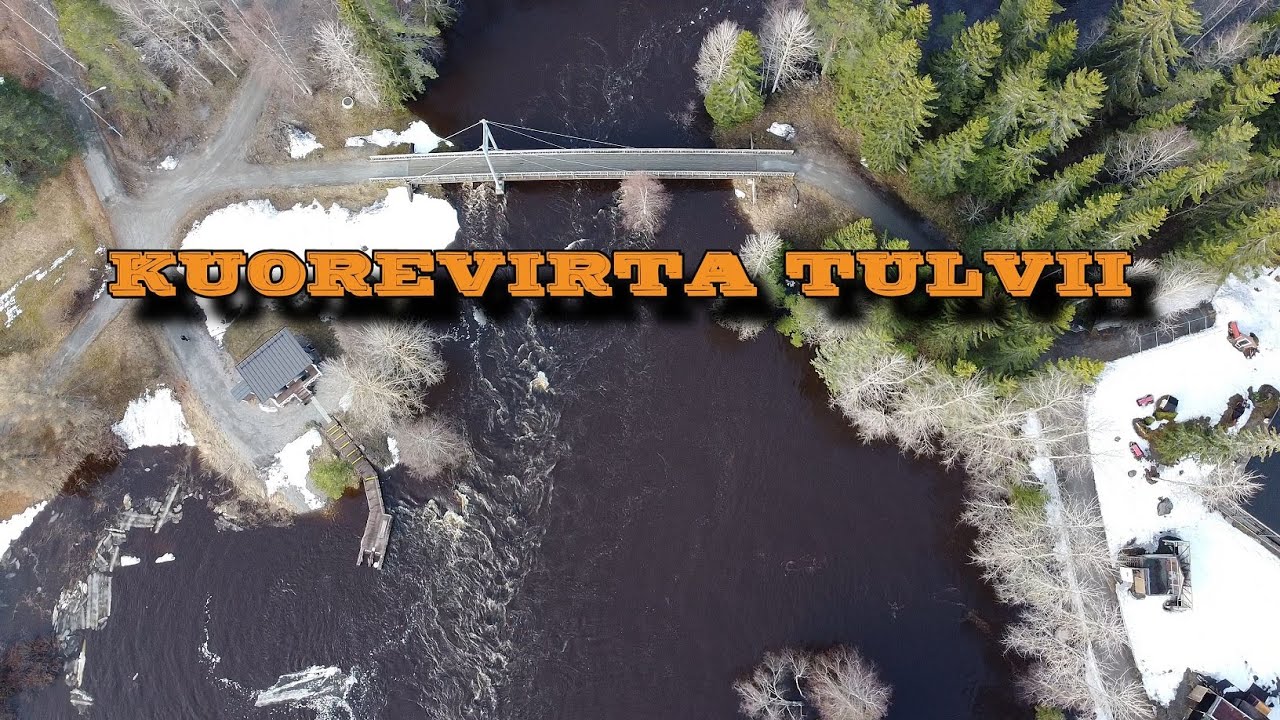 Kiuruvesi: Kuorevirta tulvii 1.5.2023