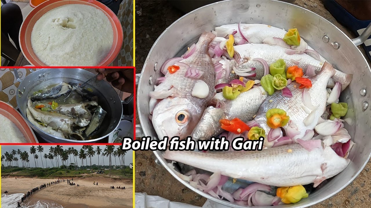 Authentic seaside food !! FRESH BOILED FISH with GARI !! fresh Local food from GHANA !! West Africa