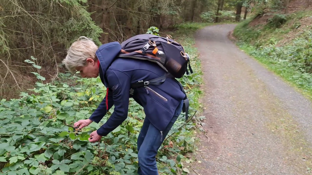 Wanderung von Wernigerode zum Armeleuteberg und weiter bis zum Gasthaus an der Steinernen Renne