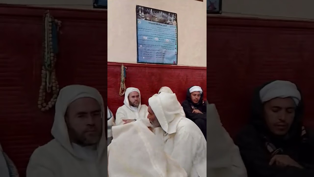 12 فبراير 2026