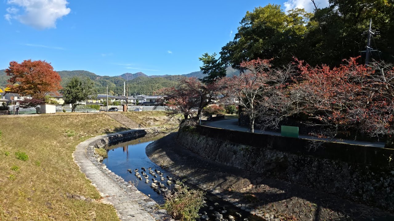 ｛UHD-8K 4320p / 30fps / HDR｝8K 風景60秒ボックス [シーズン2 (-041) ・ No.441] 
