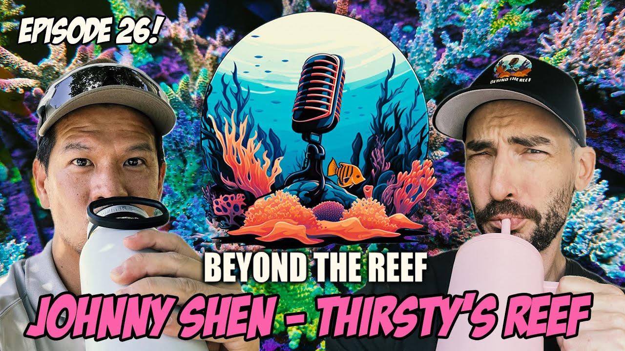 Episode 26 - Thirsty for Thirsty's Reef with Johnny Shen