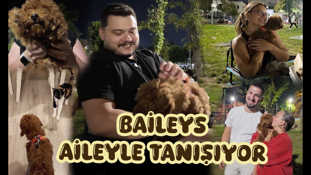 BAILEYS AİLEYLE TANIŞIYOR I Park Günümüz 🐾🦮🧸💕