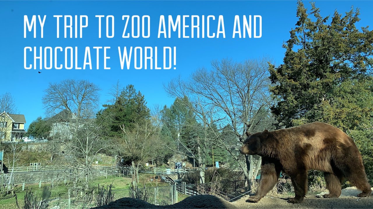 My Trip to Zoo America and Chocolate World!