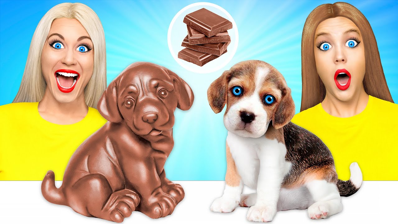 Desafío De Comida Real vs. De Comida Chocolate #3 por Multi DO Fun Challenge