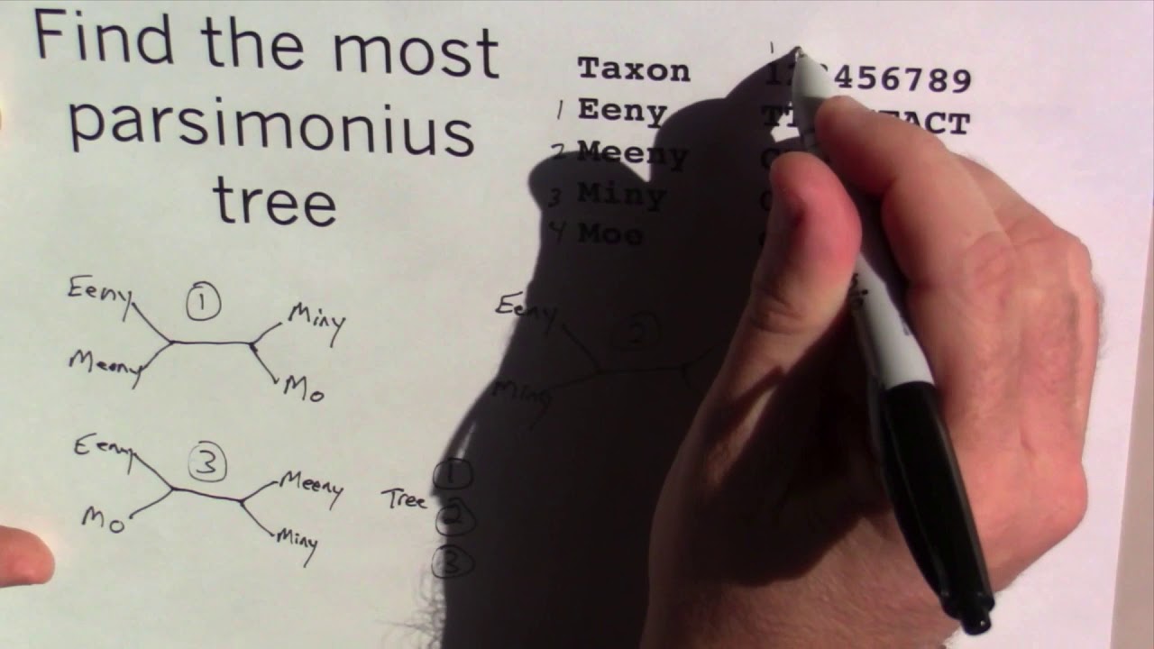 Phylogenetic Methods