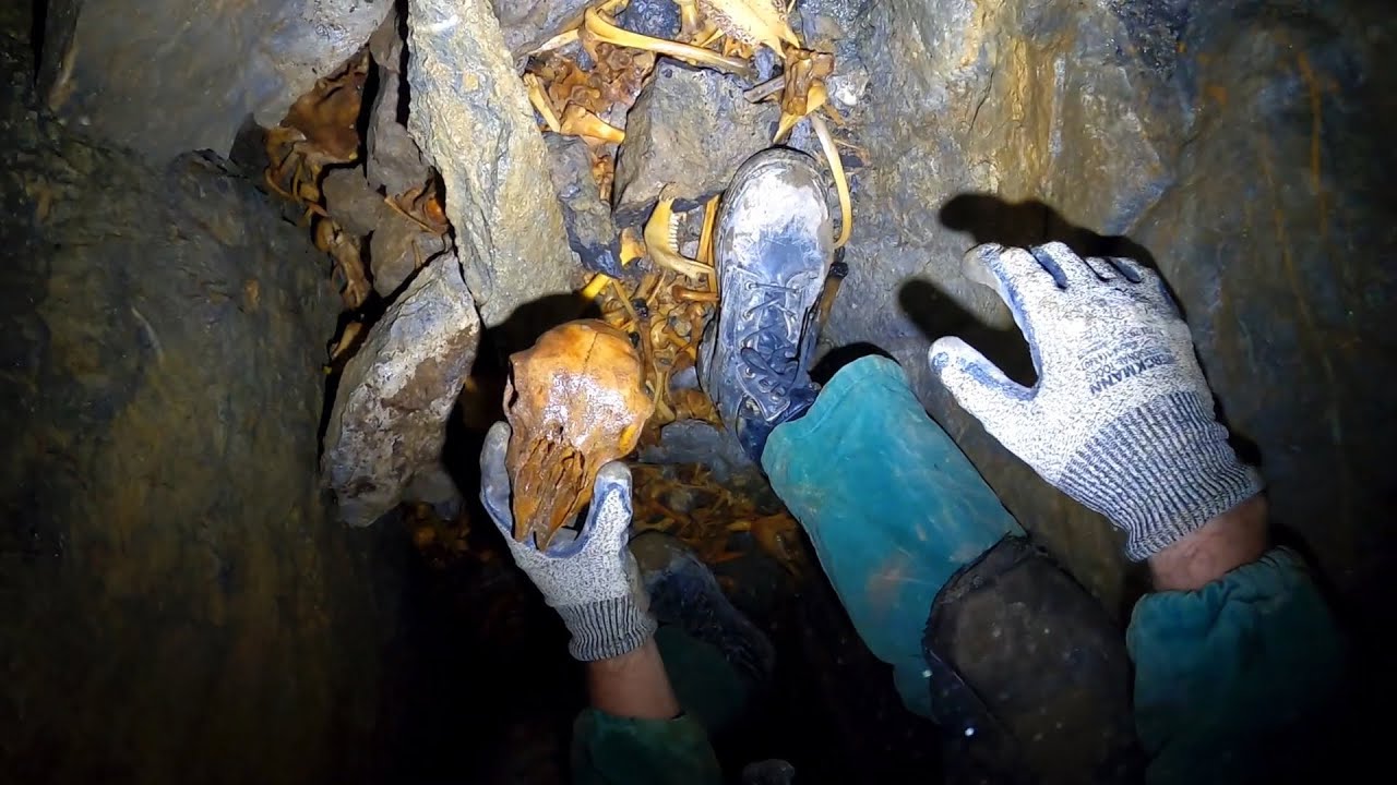 Le cimetière souterrain - prospection spéléo