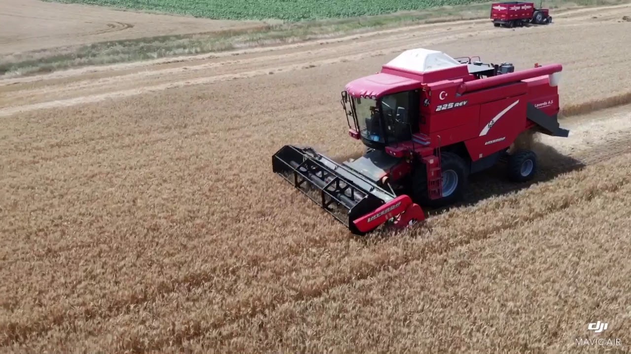 Laverda 225 REV 2020 buğday hasadı Edirne Hacıumur