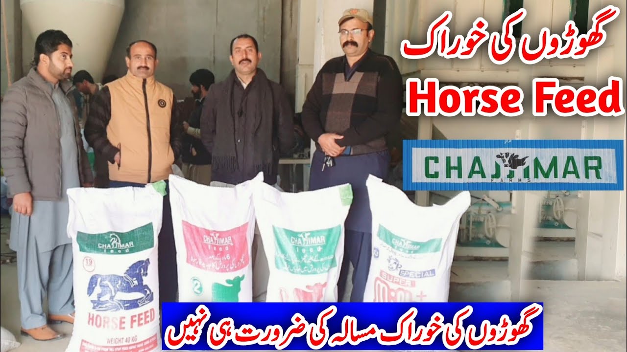 Horse Feed Available | Cow Millking Feed | Calf Feed | Cow Baby Feeds | ChajjiMar Farms