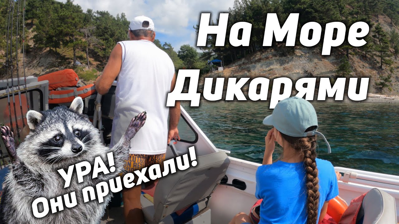 На побережье Чёрного моря в палатке дикарями. В диком лесу, далеко от цивилизации и бытовых проблем.
