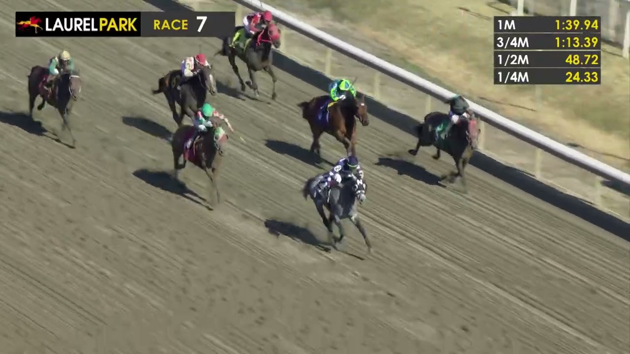 LAUREL PARK 2026-03-01 PL#07_RACE 7