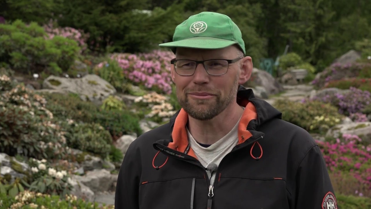 Spiselige planter i botanisk hage