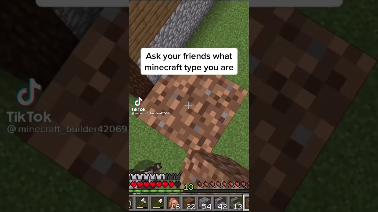 Which Type Of Minecraft Player Are You?