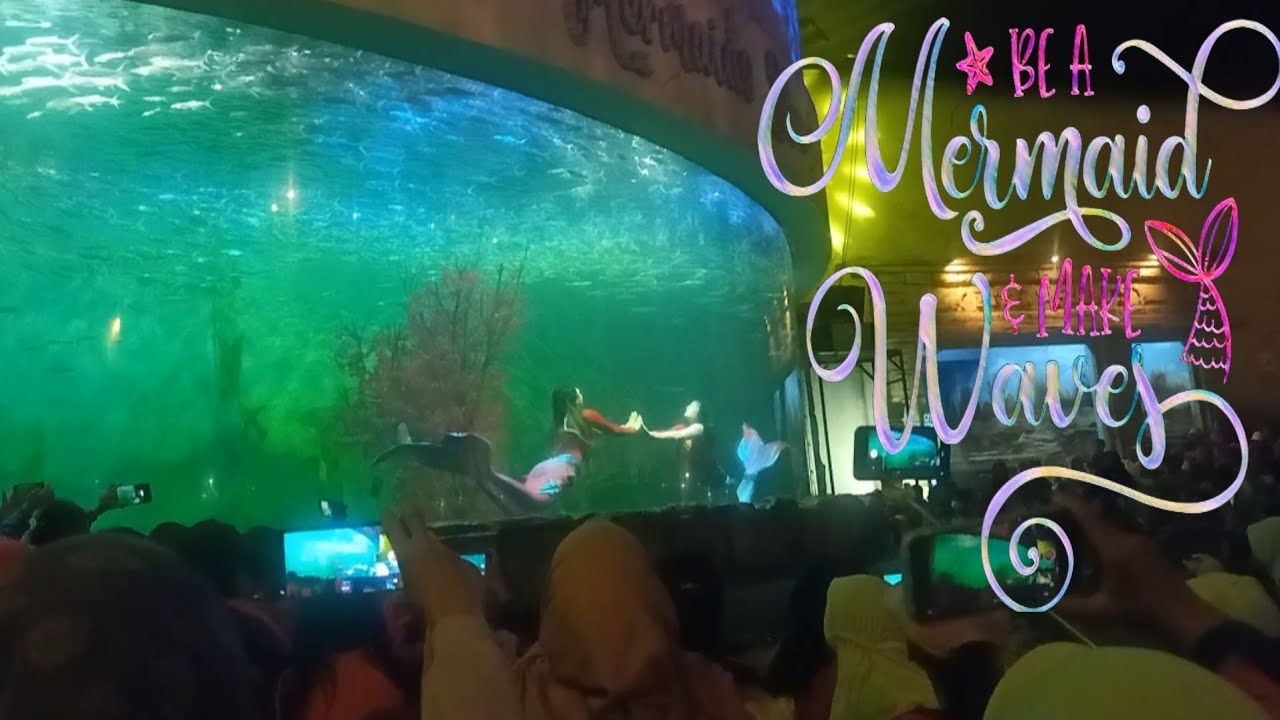 Wisata ! MERMAID & DOLPHIN SHOW / Pertunjukan Putri Duyung & Lumba-lumba Keren