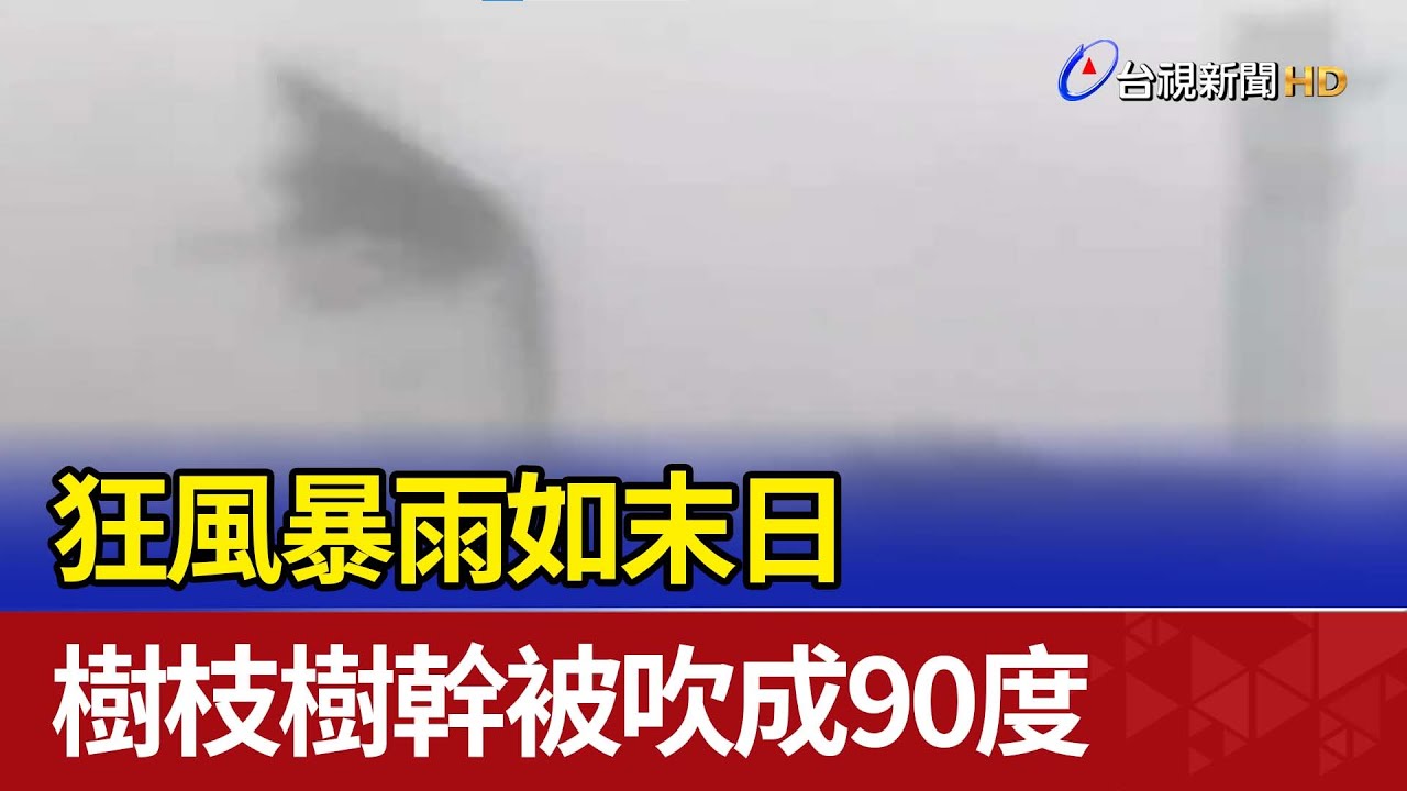 狂風暴雨如末日 樹枝樹幹被吹成90度