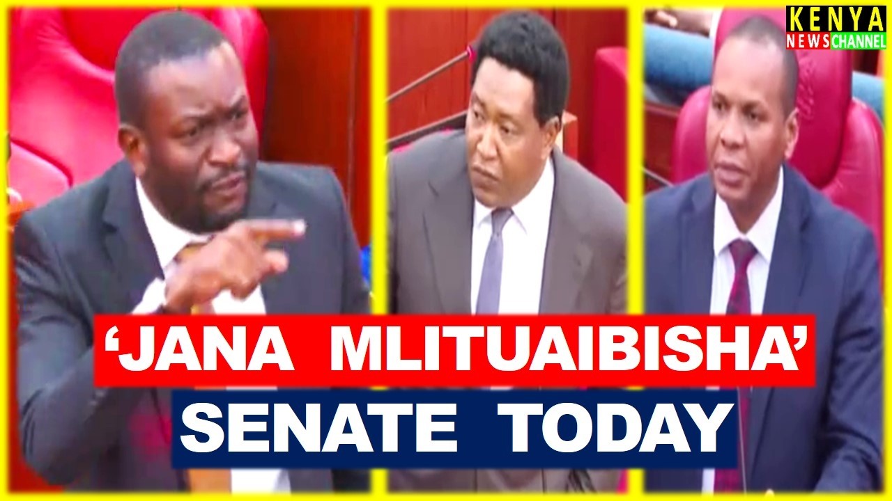 HEATED Exchange in Senate as Angry Sifuna confronts Senators who met Ruto & Oburu at UDA ODM PG