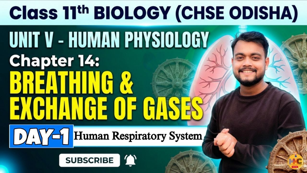 (L-1)Breathing and Exchange of Gases// Class-11th//CHSE Odisha Biology//MMC//AMMU VAI//First Year Sc