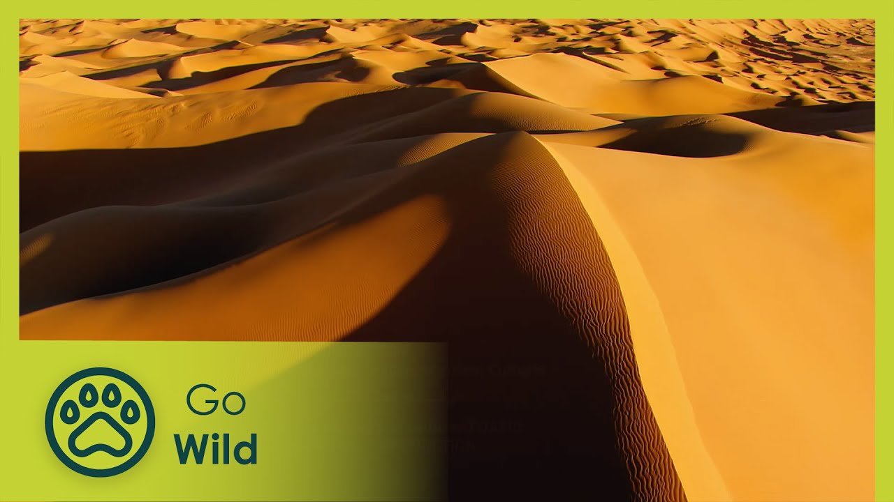 Algeria From Above | Go Wild