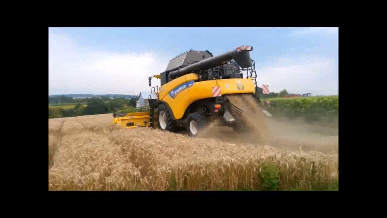 Best of 10 ans le paysan charentais