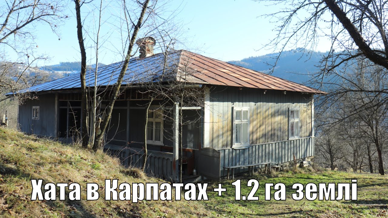 Хата в Карпатах, велика господарка з землею в гірському селі