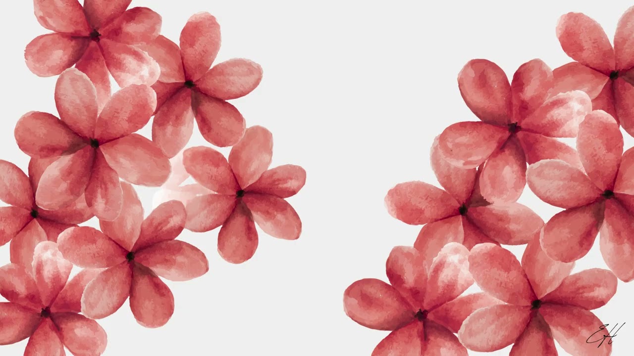 1 Hour Soft Red Petal Art | Minimal Ambient TV Frame Visuals