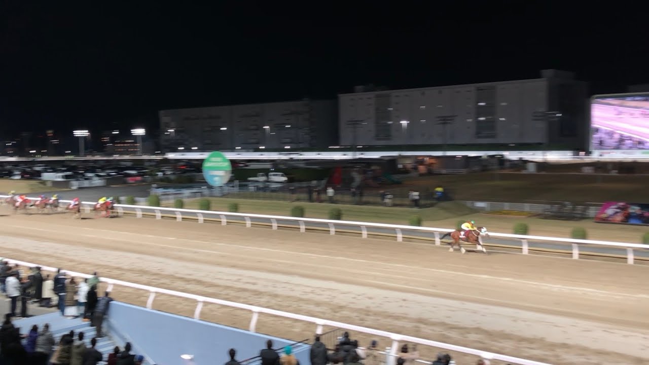 《南関》アランバローズ 笹川翼 2024 スパーキングマイラーズC 川崎競馬場 現地