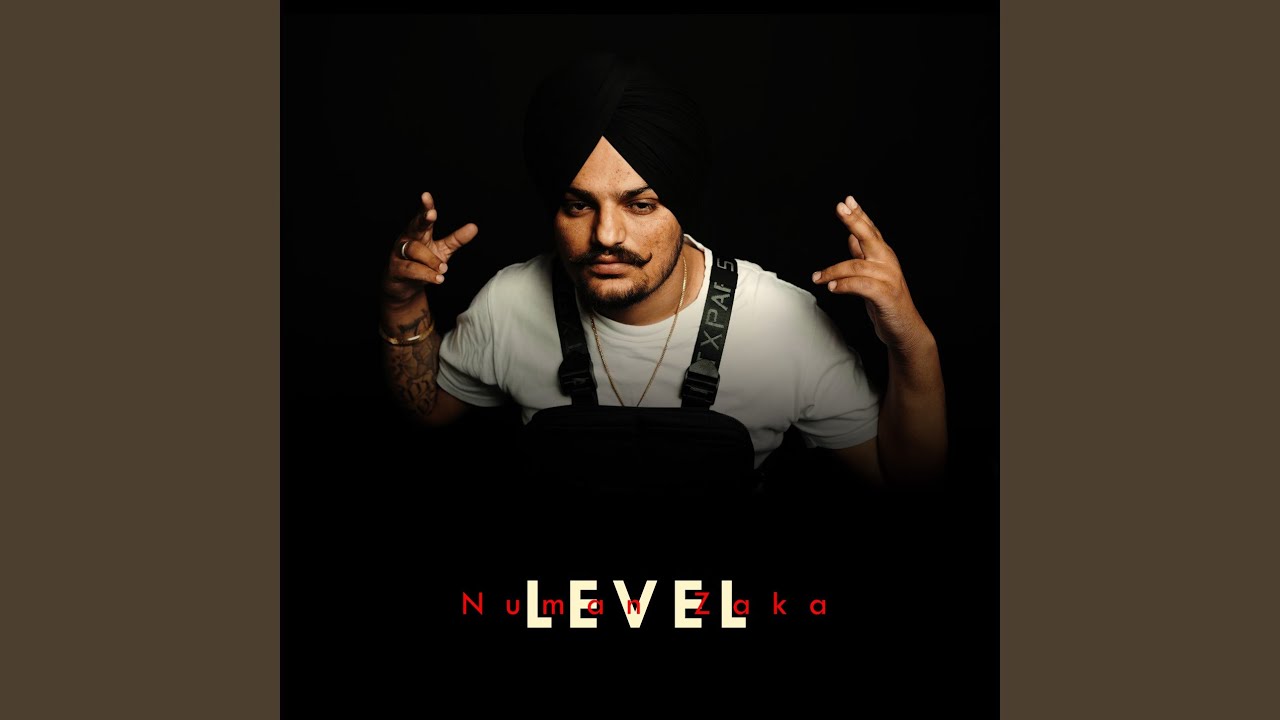 LEVEL