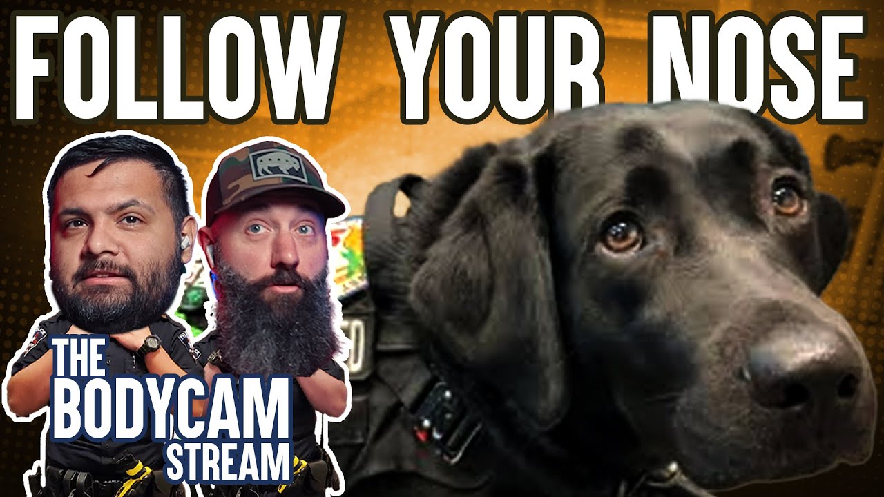 Good Bois vs Bad Suspects👮 OnlyCops 🚨- Weekly Livestream (01/29/2025)