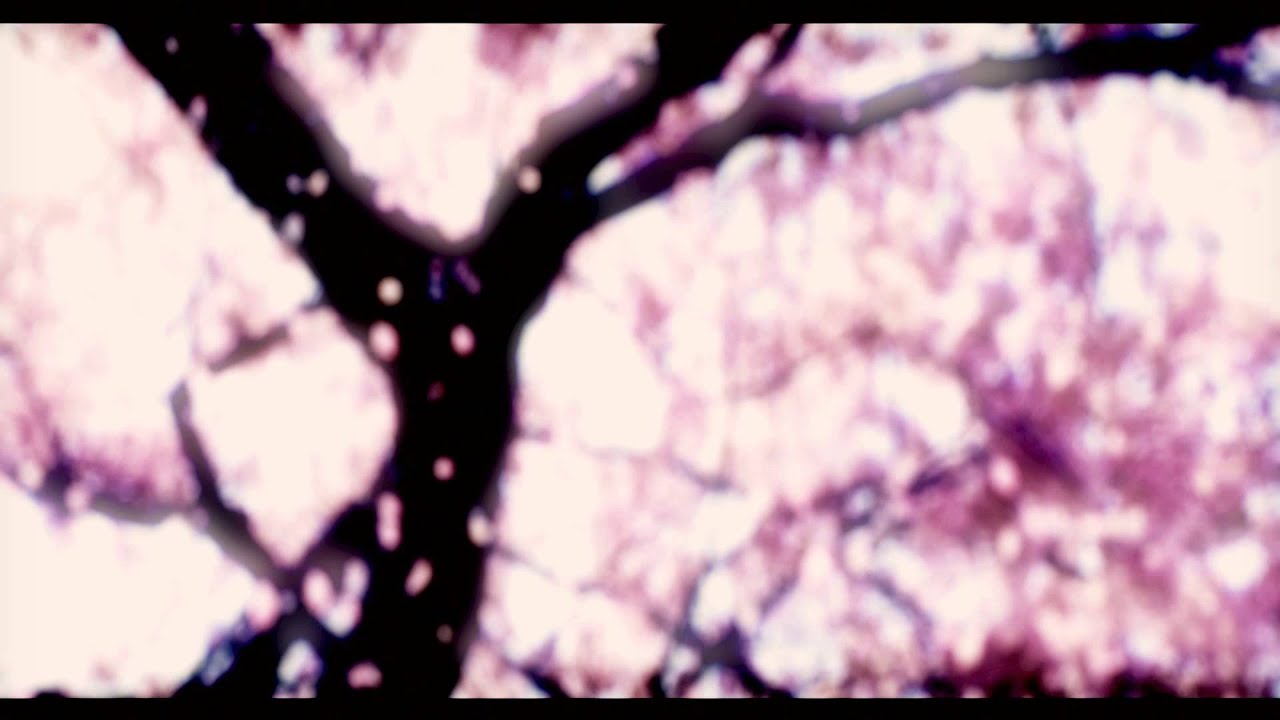 黃凱芹 － 山伯 Chris Wong － Shan Bo