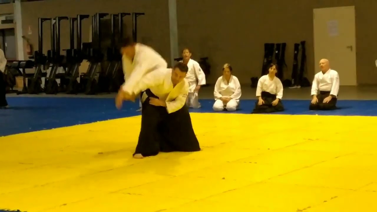 Ryote dori techniques.