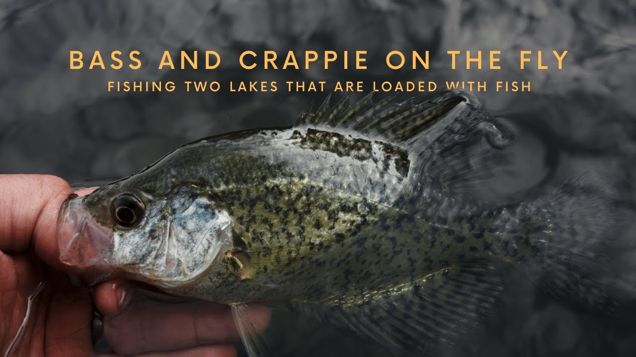 Fly Fishing for Bass and Crappie - 2 Days Fishing Lakes That are Loaded With Fish