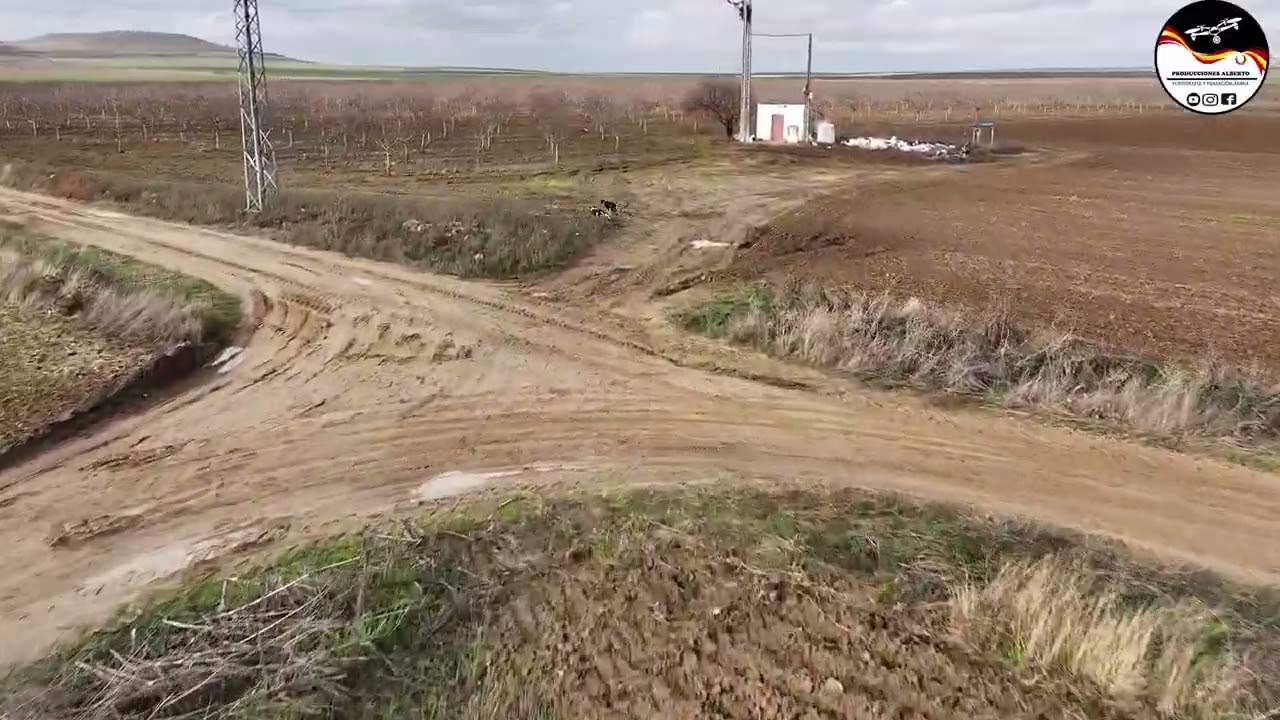 LIEBRES Y GALGOS CYL  TEMPORADA 25 26     23