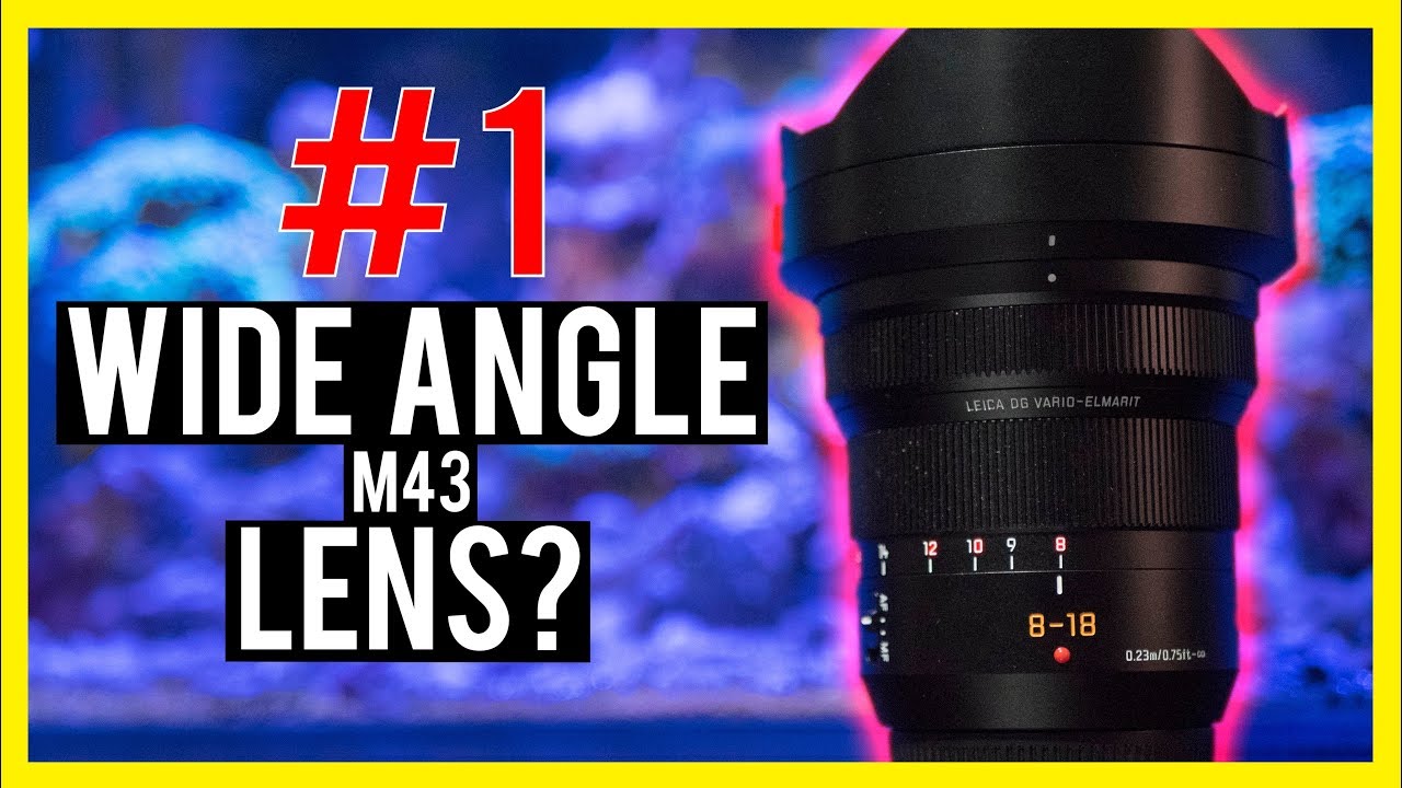 Leica 8-18mm Lens Review