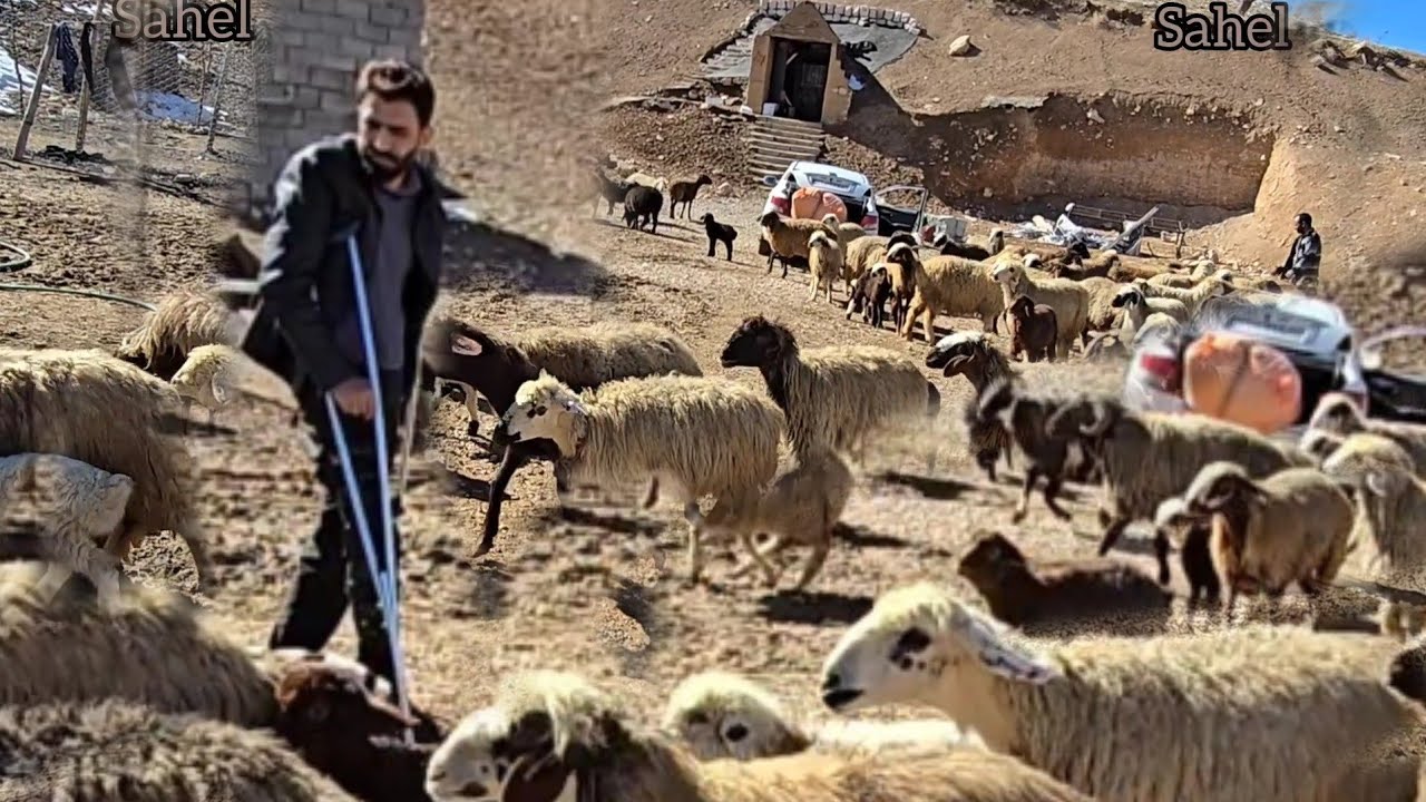 The shepherd returned to the cave by engineer Babazadeh and the engineer went to Isfahan to see the