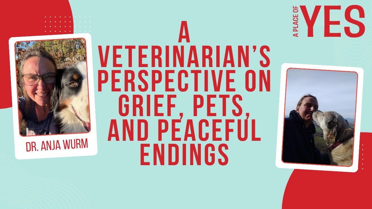 Взгляд ветеринара на горе, домашних животных и мирное завершение жизни