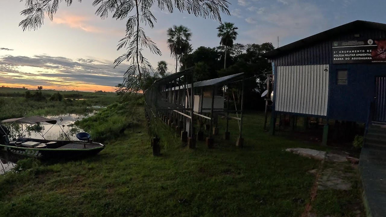 Touro morto/Buritizal, dormimos na sede da PMA, muita onça. #pescaria #onça #pantanal #pmma #fy
