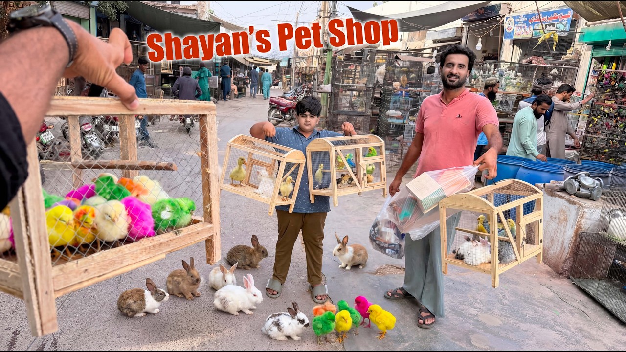 Bird Market Sy Bhout Saray Pets Ly Aye 😍