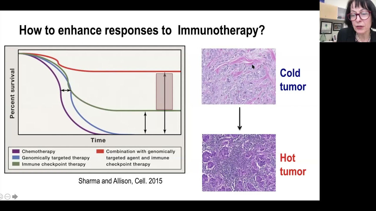Dr Sandra Demaria: Radiotherapy-induced in situ immunization: Mechanisms and barriers